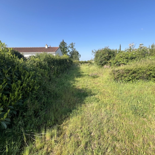  GLOBALES SOLUTIONS IMMOBILIERES : Terrain | CHATEAU-THEBAUD (44690) | 0 m2 | 95 000 € 