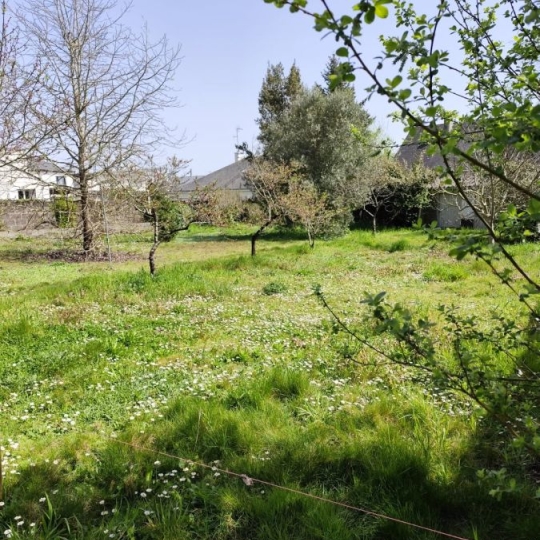 GLOBALES SOLUTIONS IMMOBILIERES : Terrain | ORVAULT (44700) | 700.00m2 | 282 000 € 