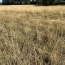  GLOBALES SOLUTIONS IMMOBILIERES : Terrain | CHATEAU-THEBAUD (44690) | 0 m2 | 93 900 € 