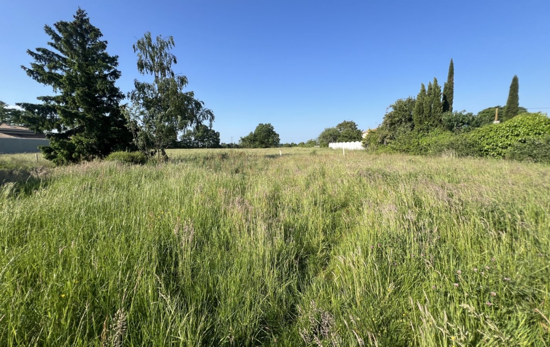 GLOBALES SOLUTIONS IMMOBILIERES : Terrain | CHATEAU-THEBAUD (44690) | 0 m2 | 95 000 € 