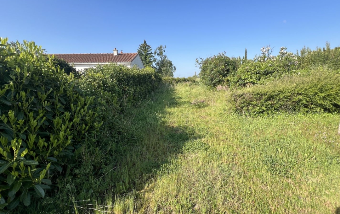 GLOBALES SOLUTIONS IMMOBILIERES : Terrain | CHATEAU-THEBAUD (44690) | 0 m2 | 95 000 € 