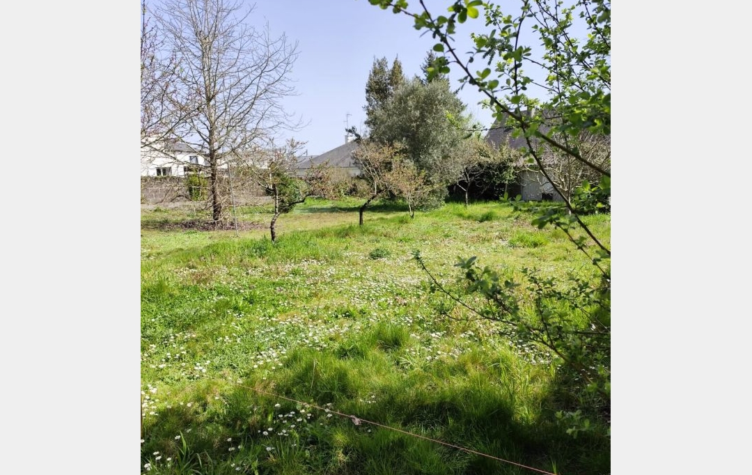 GLOBALES SOLUTIONS IMMOBILIERES : Terrain | ORVAULT (44700) | 700 m2 | 282 000 € 