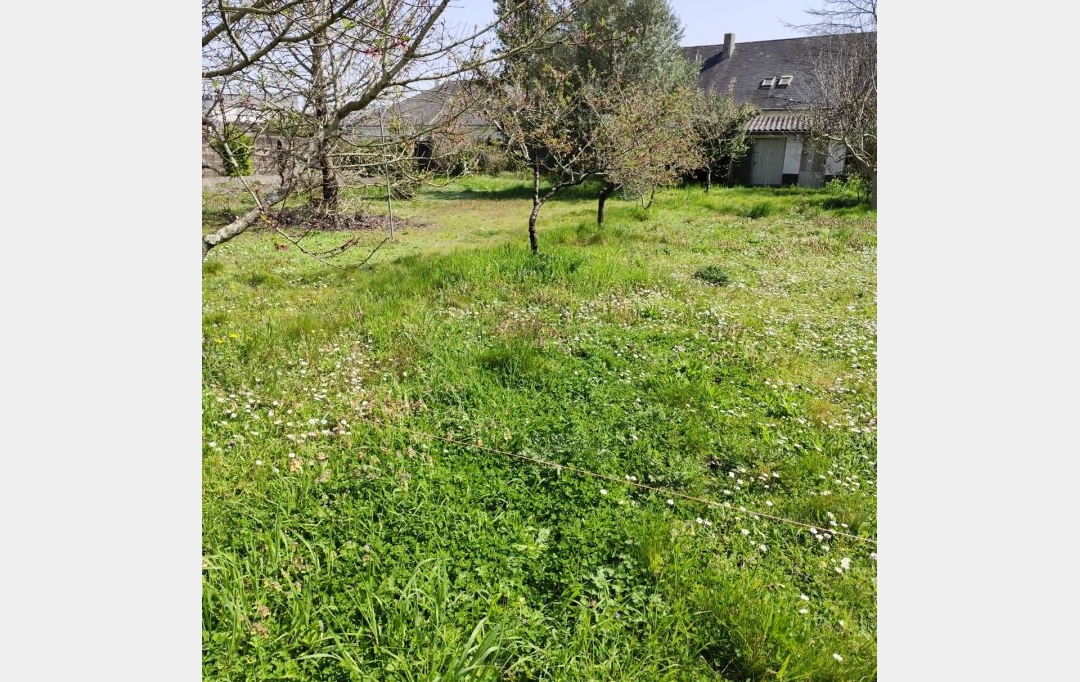 GLOBALES SOLUTIONS IMMOBILIERES : Terrain | ORVAULT (44700) | 700 m2 | 282 000 € 