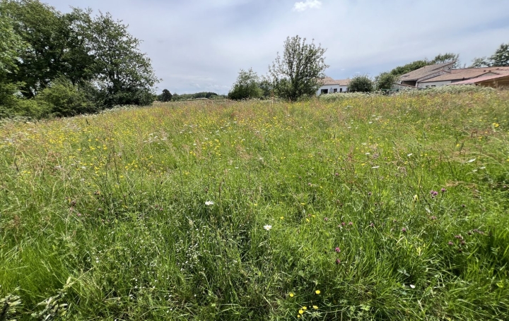  GLOBALES SOLUTIONS IMMOBILIERES Terrain | VERTOU (44120) | 4 000 m2 | 750 000 € 