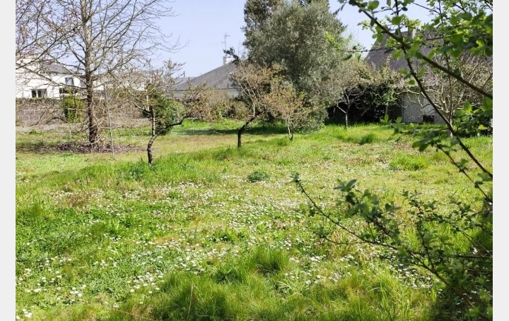 Terrain ORVAULT 700 m2 282 000 € Terrain ORVAULT 700 m2 282 000 €