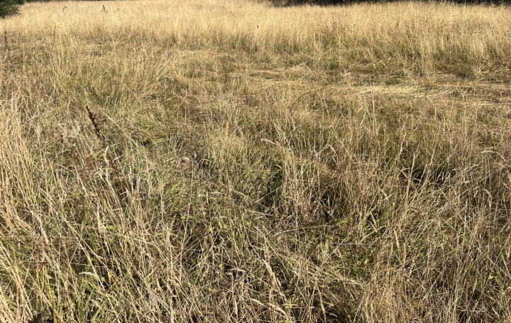  GLOBALES SOLUTIONS IMMOBILIERES Terrain | CHATEAU-THEBAUD (44690) | 0 m2 | 93 900 € 