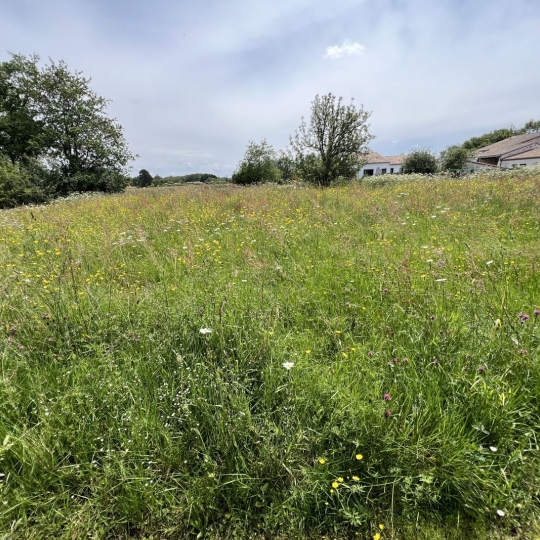 GLOBALES SOLUTIONS IMMOBILIERES : Terrain | VERTOU (44120) | 4000.00m2 | 750 000 € 