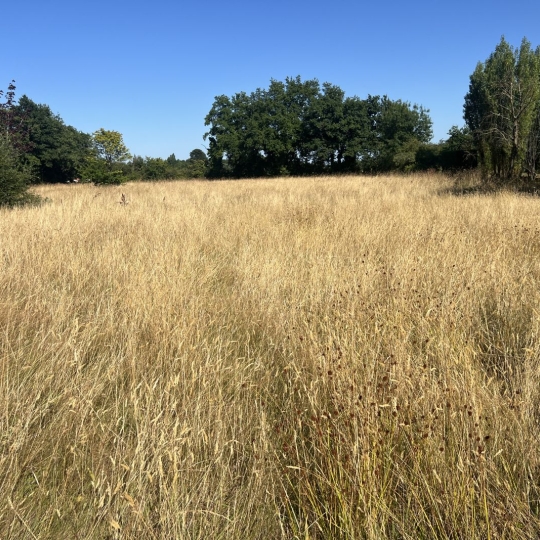  GLOBALES SOLUTIONS IMMOBILIERES : Domain / Estate | VERTOU (44120) | 200 m2 | 563 750 € 
