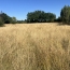  GLOBALES SOLUTIONS IMMOBILIERES : Domain / Estate | VERTOU (44120) | 200 m2 | 563 750 € 