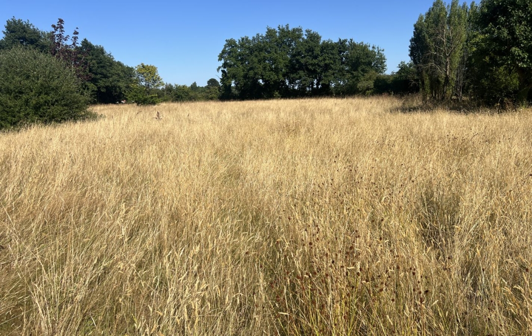 GLOBALES SOLUTIONS IMMOBILIERES : Domain / Estate | VERTOU (44120) | 200 m2 | 563 750 € 